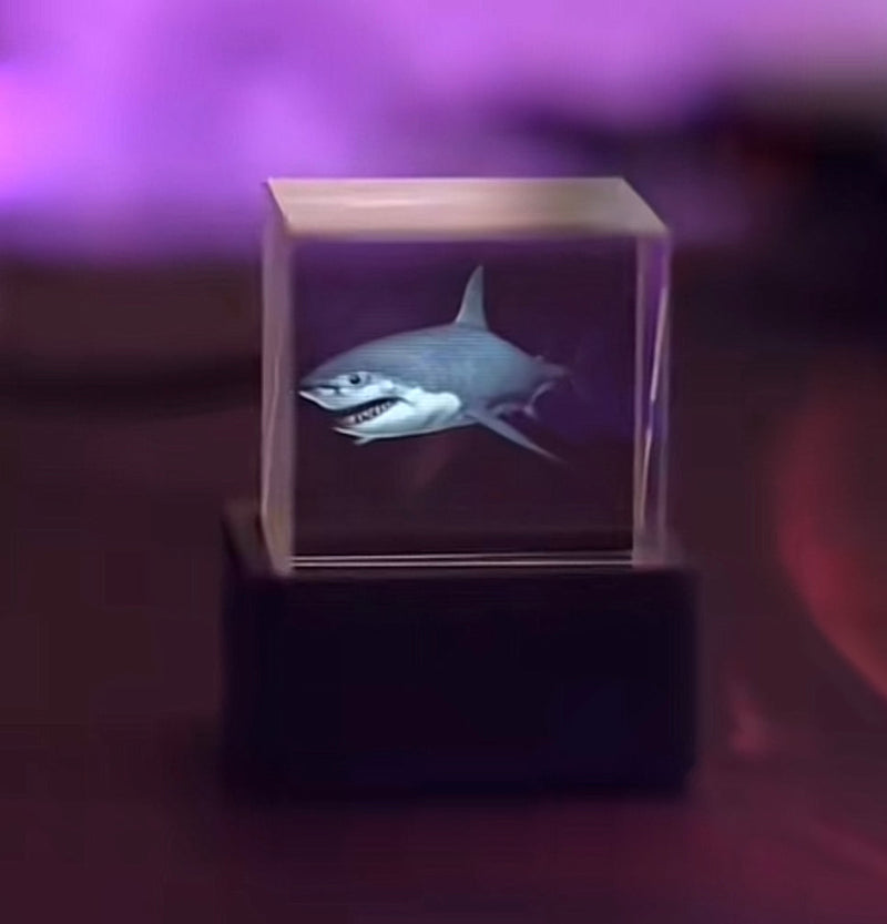 Cubo Holográfico charmed love Love 3D- Surpreenda uma pessoa Especial